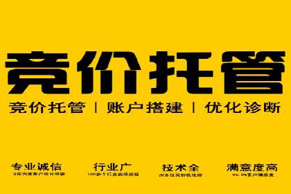 某某sem代运营推广公司案例分享：快速提升网站流量